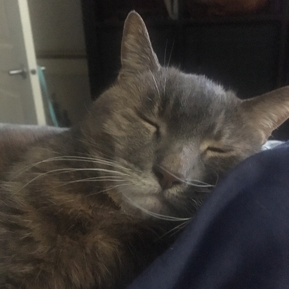 Meet your Posher, Kimberley - Picture 1 of 1